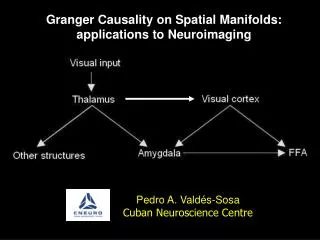 Granger Causality on Spatial Manifolds: applications to Neuroimaging