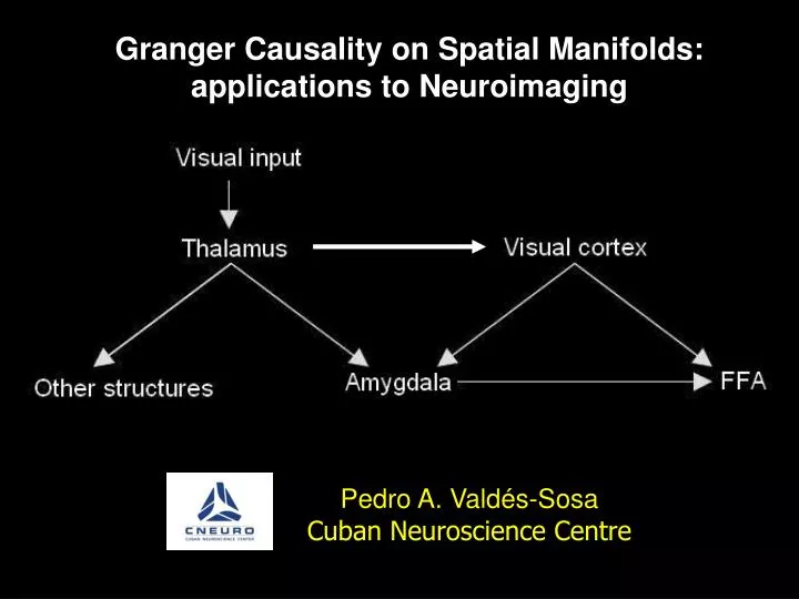 granger causality on spatial manifolds applications to neuroimaging