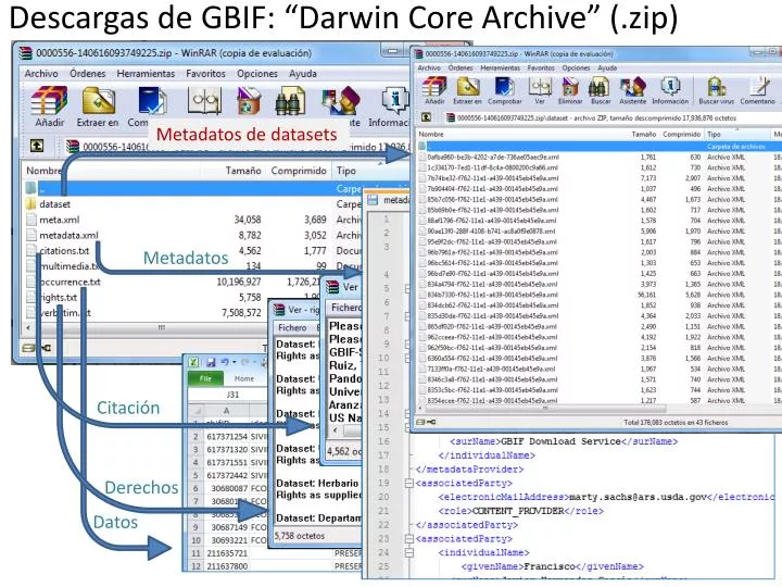 descargas de gbif darwin core archive zip