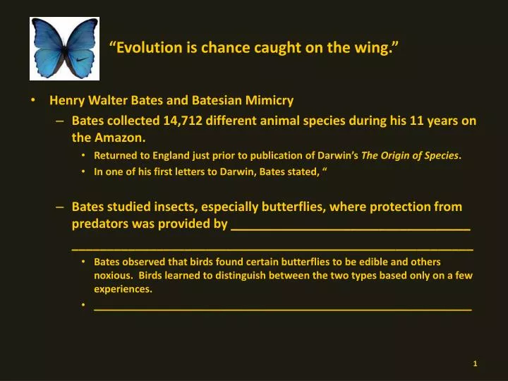 evolution is chance caught on the wing