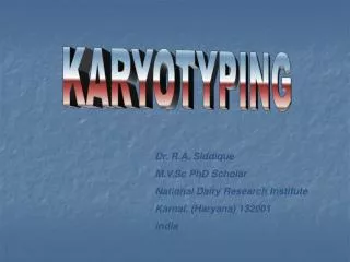 KARYOTYPING