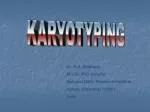 KARYOTYPING - slide 1