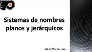 sistemas de nombres planos y jer rquicos