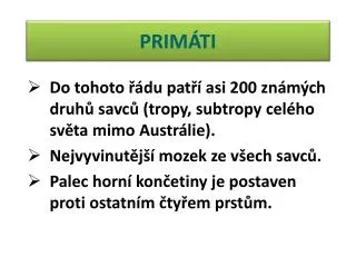 prim ti
