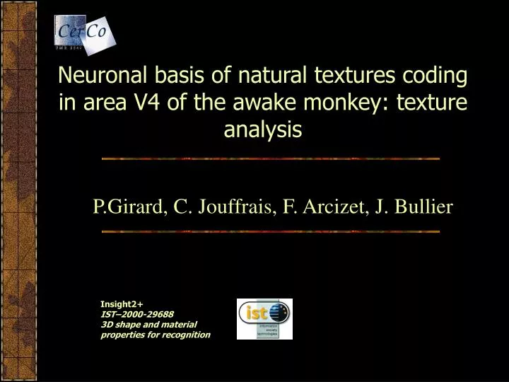 neuronal basis of natural textures coding in area v4 of the awake monkey texture analysis