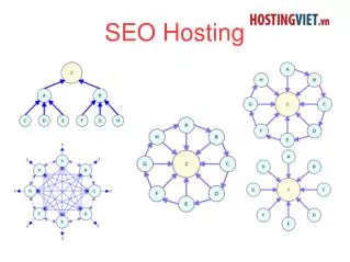 SEO Hosting