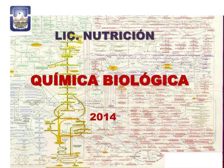 PPT - QUÍMICA BIOLÓGICA PowerPoint Presentation, Free Download - ID:6356610