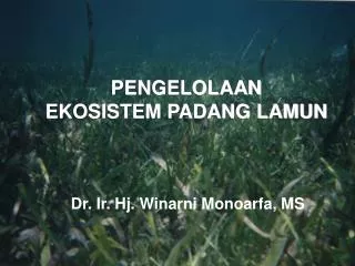 pengelolaan ekosistem padang lamun