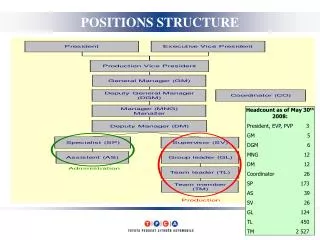 POSITIONS STRUCTURE
