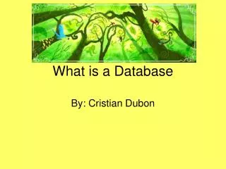 What is a Database