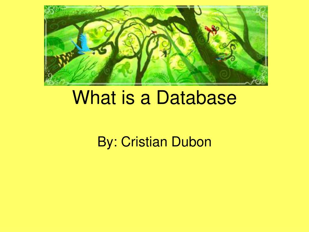 PPT - What is a Database PowerPoint Presentation, free download - ID ...