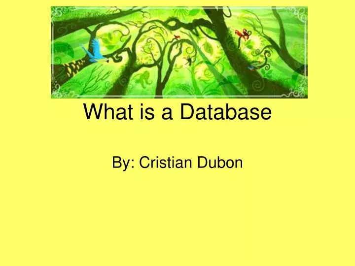 what is a database