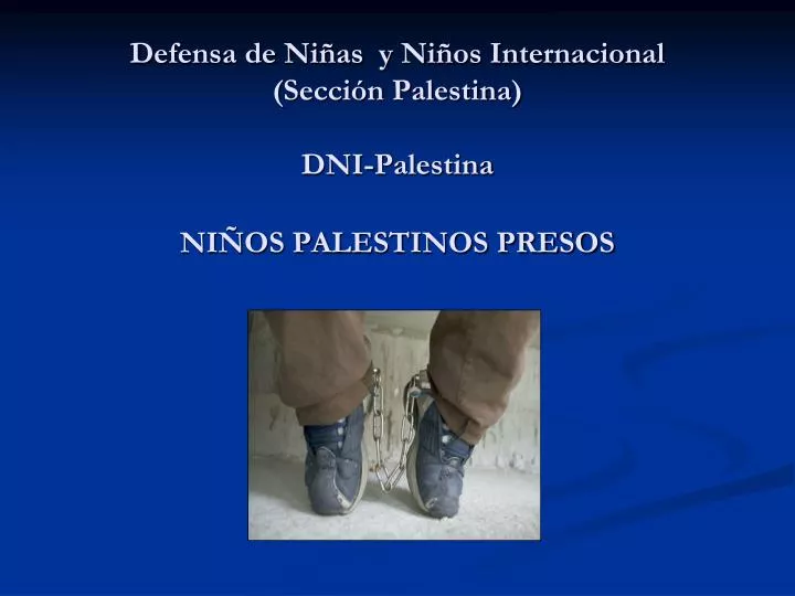 defensa de ni as y ni os internacional secci n palestina dni palestina ni os palestinos presos