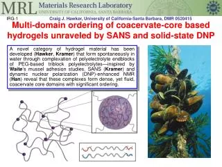 Multi-domain ordering of coacervate-core based hydrogels unraveled by SANS and solid-state DNP