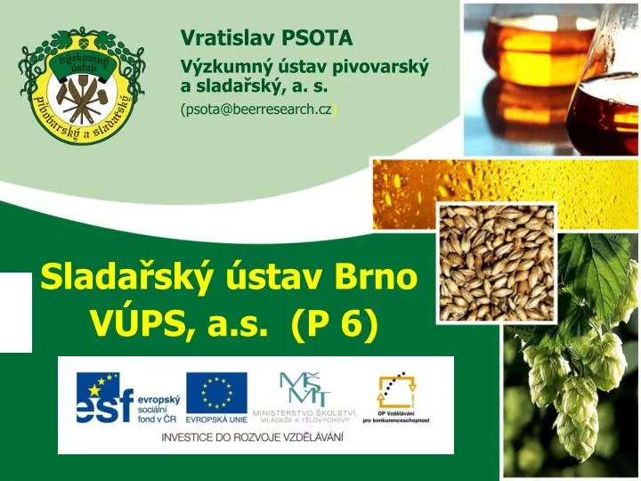 slada sk stav brno v ps a s p 6