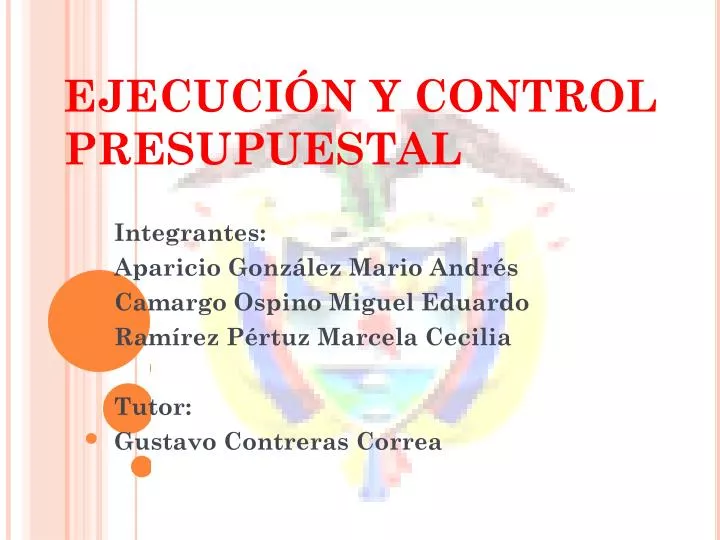 ejecuci n y control presupuestal