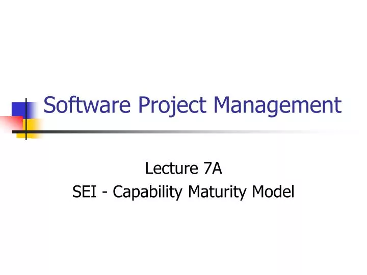 software project management