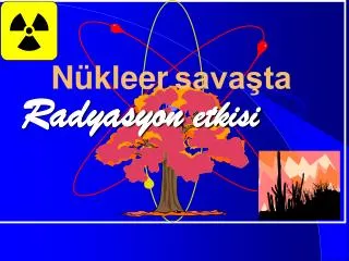 n kleer sava ta