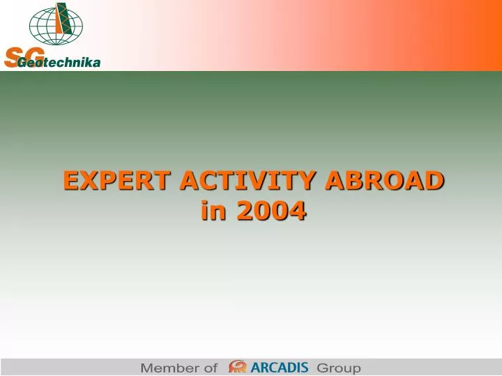 expert activity abroad in 2004