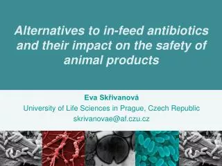 Alternatives to in-feed antibiotics and their impact on the safety of animal products