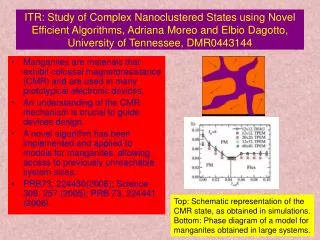 Top: Schematic representation of the CMR state, as obtained in simulations.