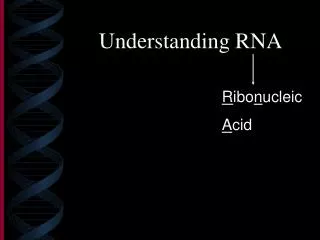 Understanding RNA
