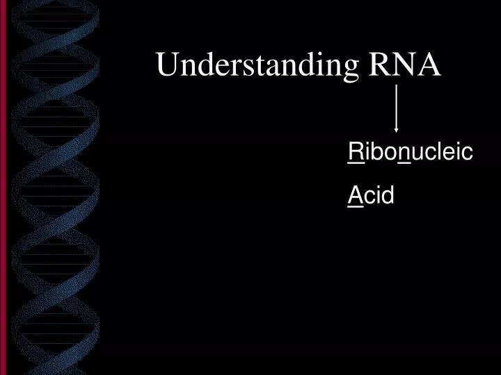 understanding rna