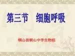 第三节 细胞呼吸 - slide 1