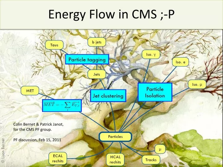 energy flow in cms p
