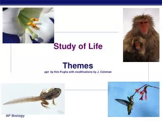 Study of Life Themes ppt by Kim Foglia with modifications by J. Coleman