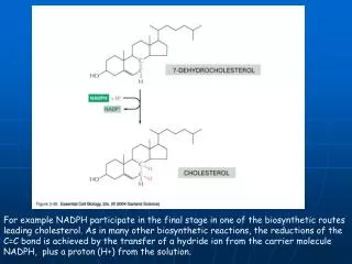 For example NADPH participate in the final stage in one of the biosynthetic routes