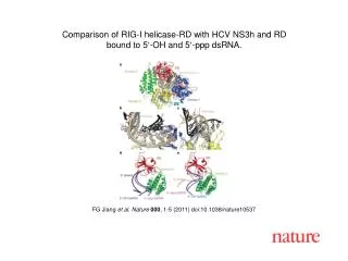 FG Jiang et al . Nature 000 , 1 - 5 (2011) doi:10.1038/nature10537