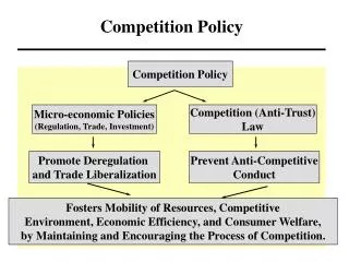 Competition Policy