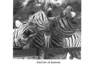and lots of humour