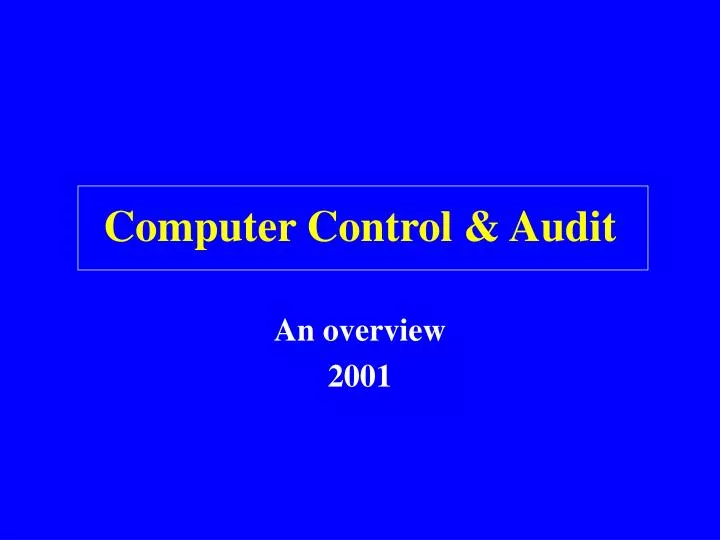 computer control audit