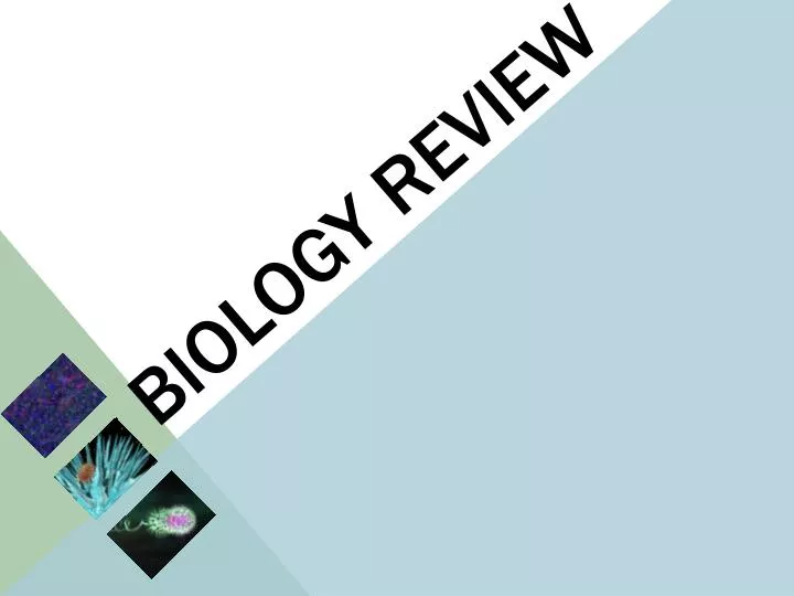 biology review