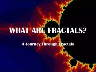 WHAT ARE FRACTALS?