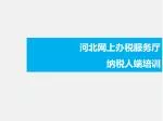 河北 网上办税服务厅 纳税人端培训 - slide 1