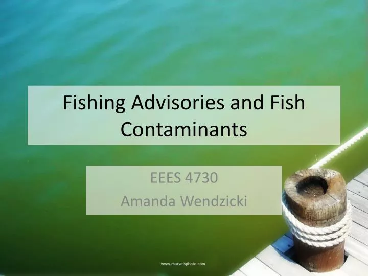 fishing advisories and fish contaminants