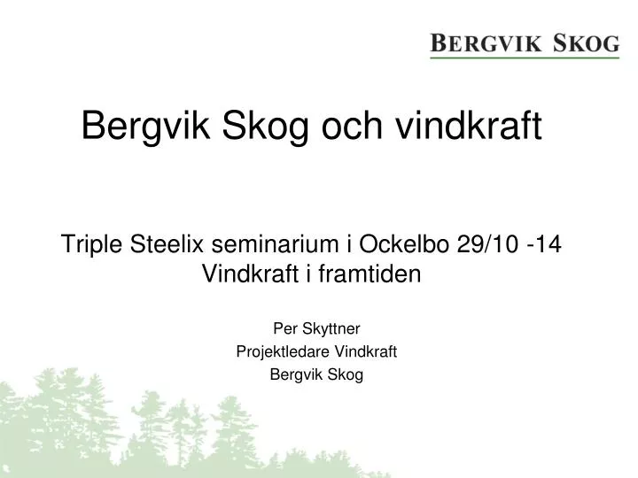 bergvik skog och vindkraft triple steelix seminarium i ockelbo 29 10 14 vindkraft i framtiden