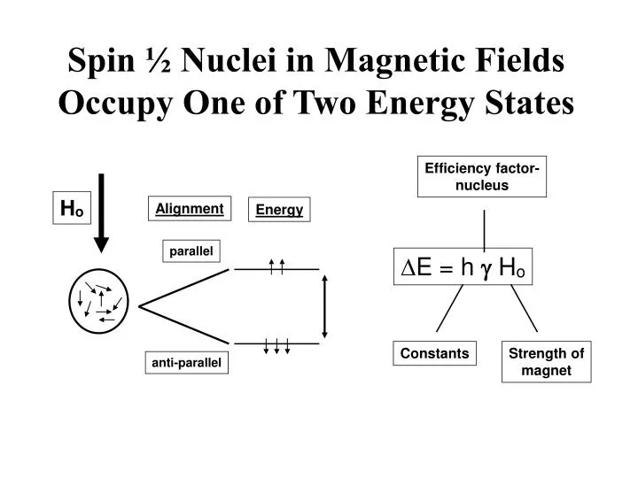 spin nuclei in magnetic fields occupy one of two energy states