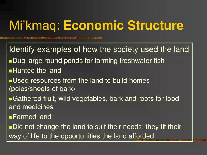 mi kmaq economic structure