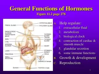 General Functions of Hormones Figure 11.2 page 278