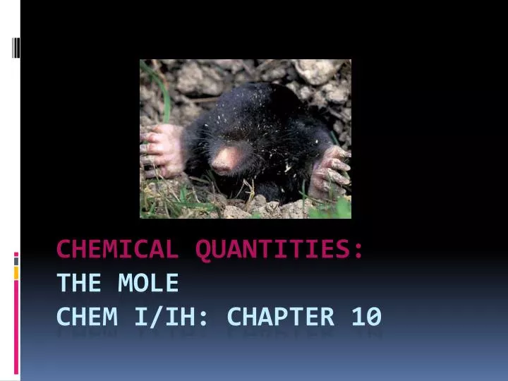 chemical quantities the mole chem i ih chapter 10
