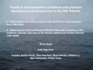 Trends in environmental conditions and plankton abundance and composition in the NW Atlantic