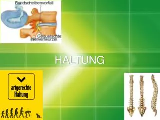 haltung