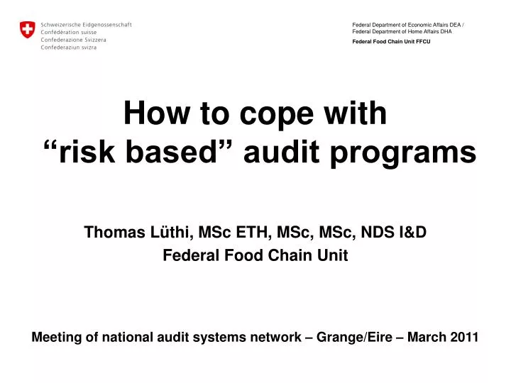 how to cope with risk based audit programs