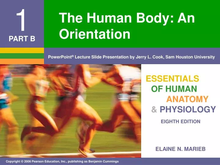 the human body an orientation