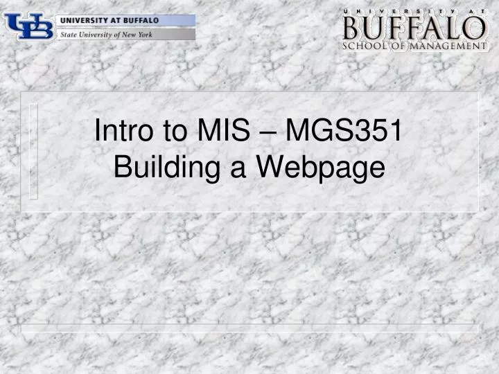 intro to mis mgs351 building a webpage