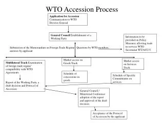 WTO Accession Process